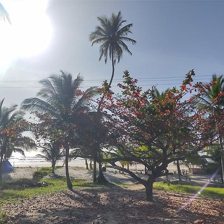 Casa Aroeira Pousada Ilhéus Екстериор снимка